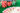 list of casino games